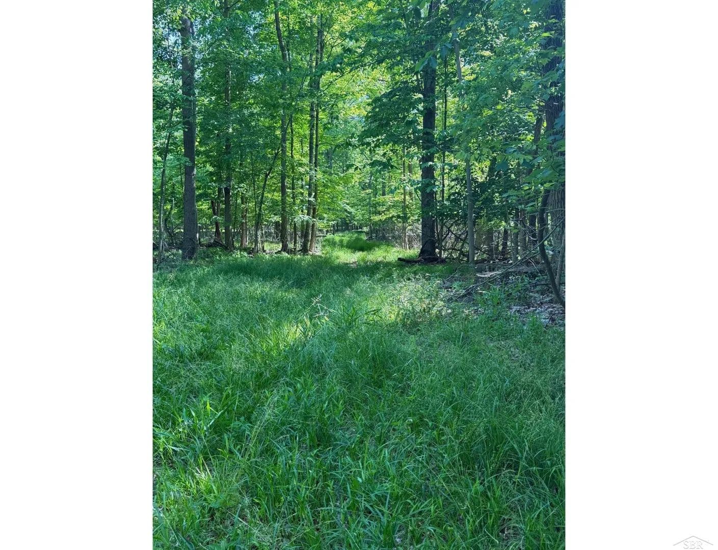 Property from 0 Lange - KW - Bridgeport, Michigan, 48722