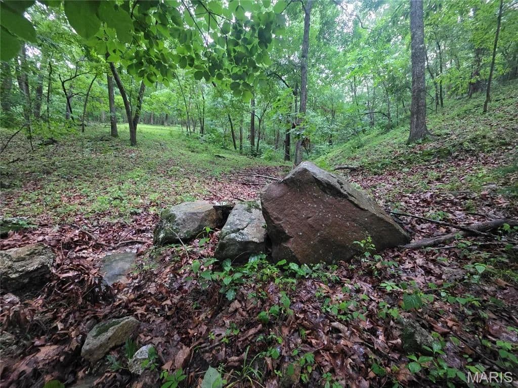 Property from 0 County Road 8500 - KW - Newburg, Missouri, 65550