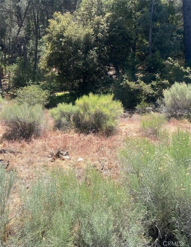 Property from 13708 Yellowstone - KW - Frazier Park, California, 93225