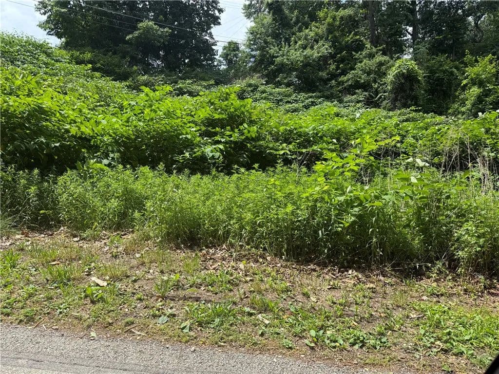 0.85 Acres of Land for Sale in West Homestead, Pennsylvania - West Homestead, Pennsylvania, 15120