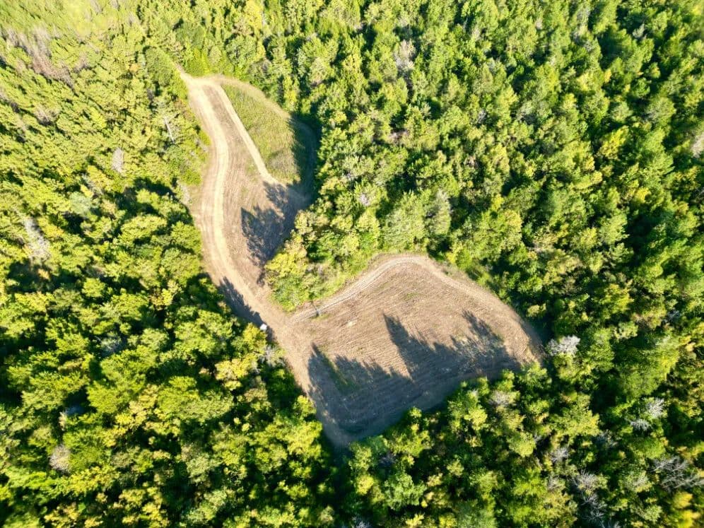 Hills Creek Furman Timber & Black Belt Hunting Tract - Furman, Alabama, 36768