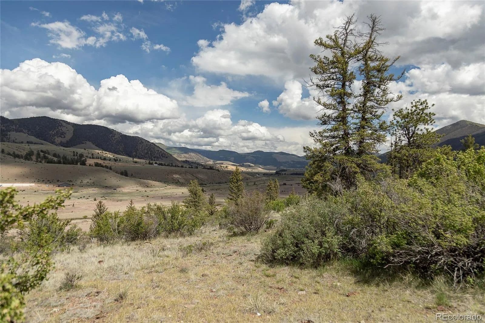 23.59 Acres of Land for Sale in Creede, CO - Creede, Colorado, 81130