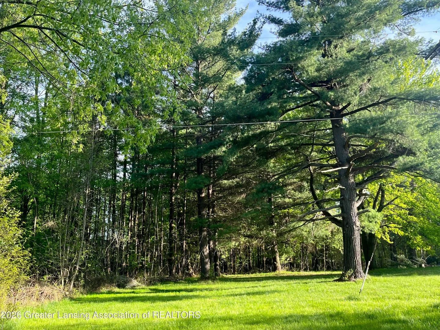 Vacant Land in Riverdale - Riverdale, Michigan, 48877