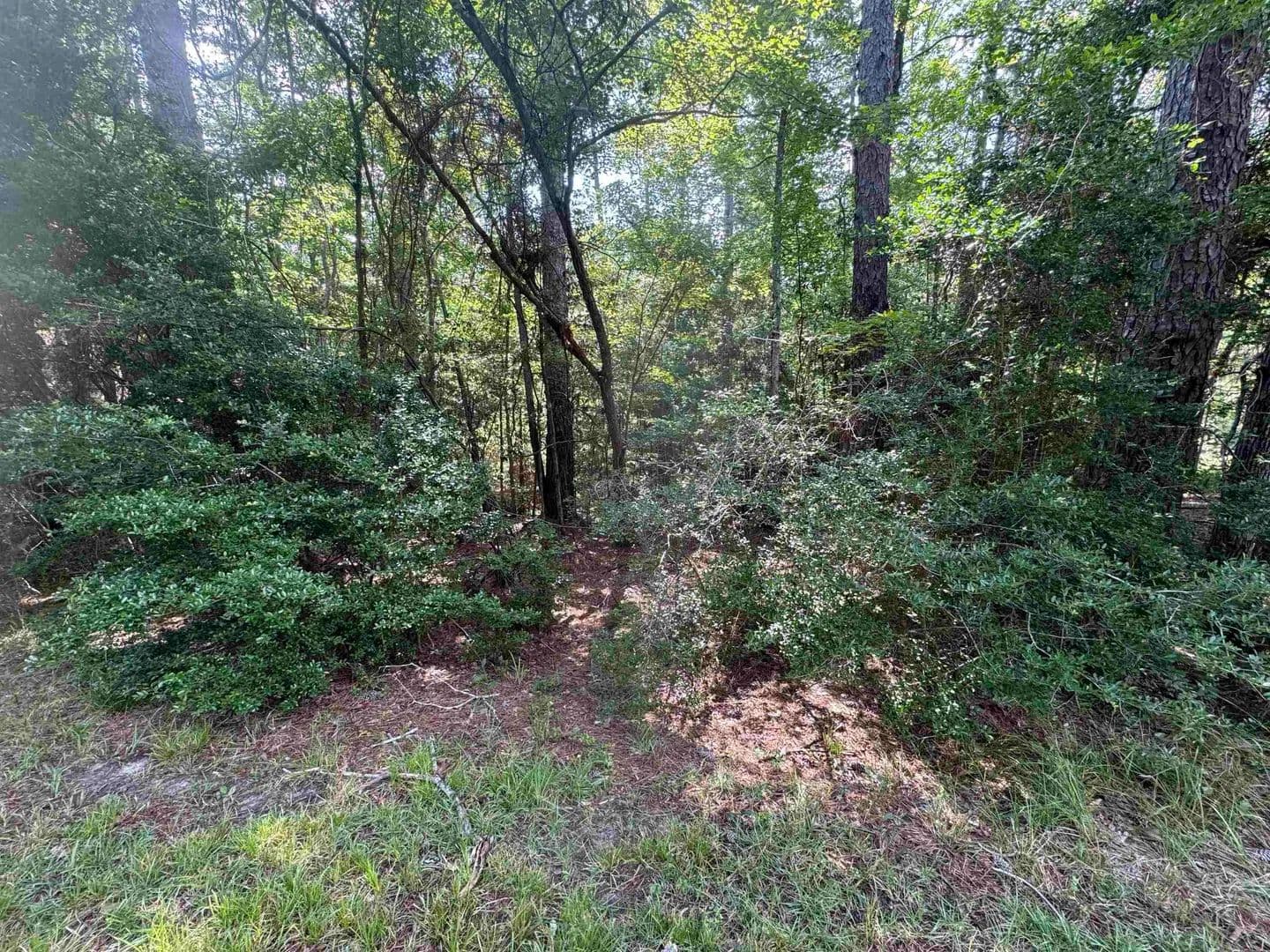 Property from Lot 12 Victoria - KW - Brookeland, Texas, 75931