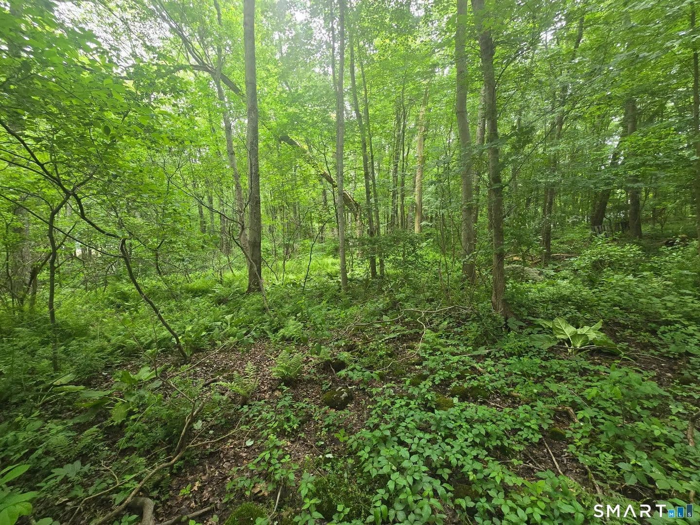 Property from Boston Hill Road - KW - Andover, Connecticut, 6232