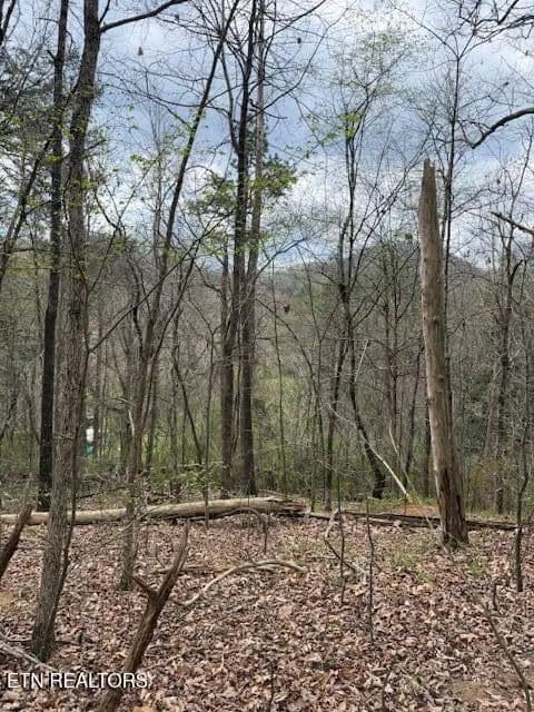 Property from 151 Hennessey Mtn / Brisk Way - KW - Cosby, Tennessee, 37722