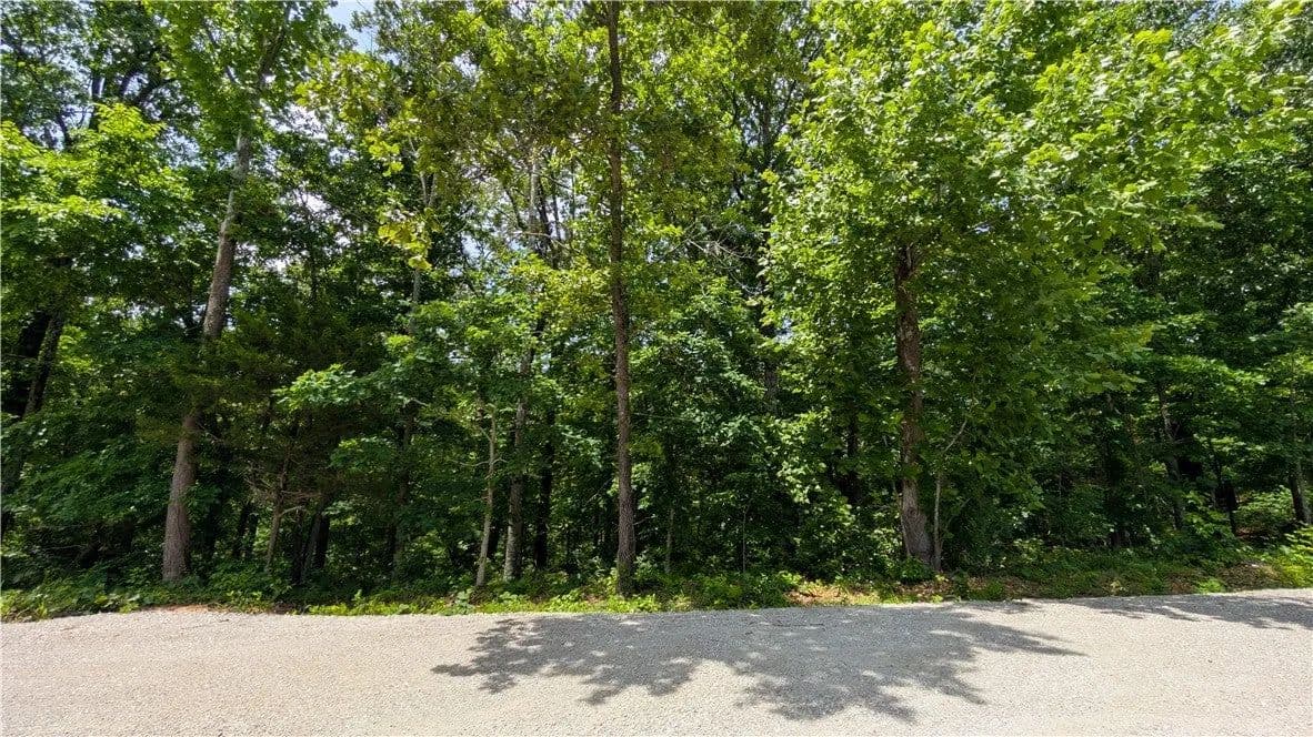 Lots & Land-Other in Bella Vista - Bella Vista, Arkansas, 72714