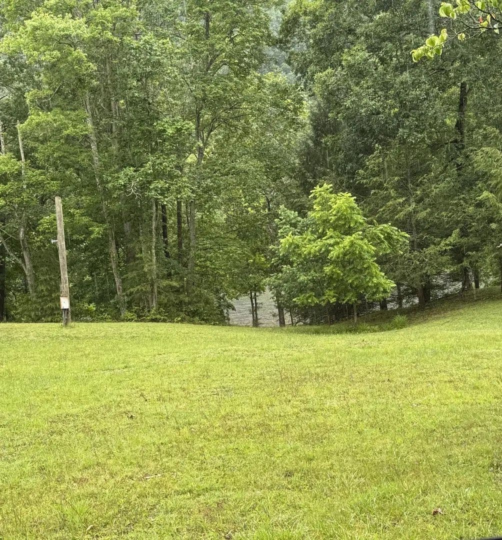 Lots & Land-Other in Talcott - Talcott, West Virginia, 24981