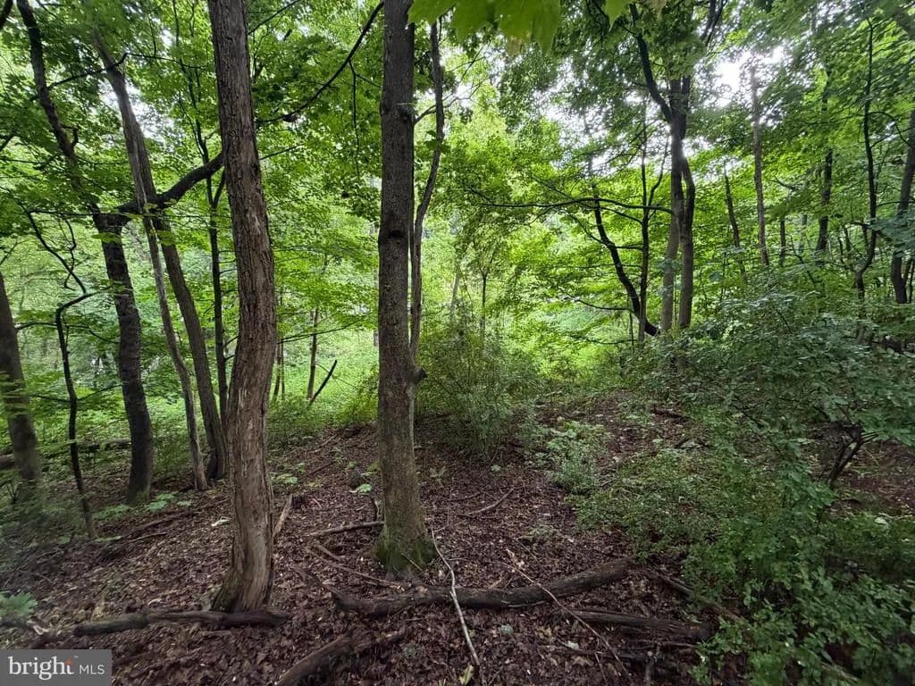 Property from 00 MONROE STREET - KW - Everett, Pennsylvania, 15537