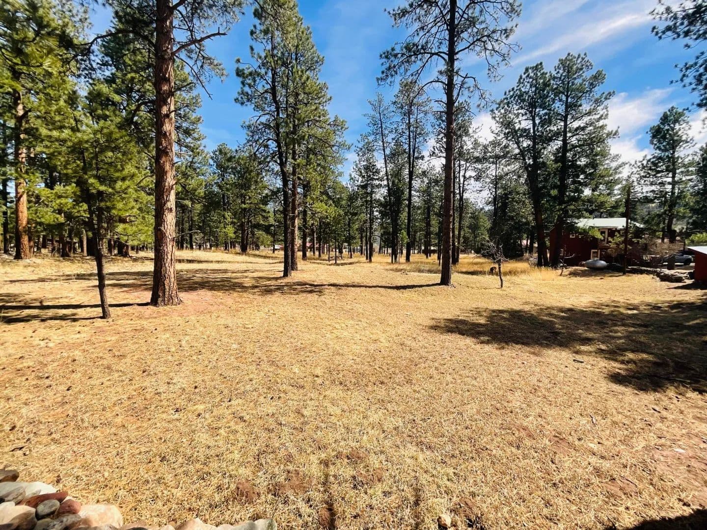 TBD STONEWALL COUNTRY CLUB BLK 2 LOT 7, Stonewall, CO 81091 - Stonewall, Colorado, 81091