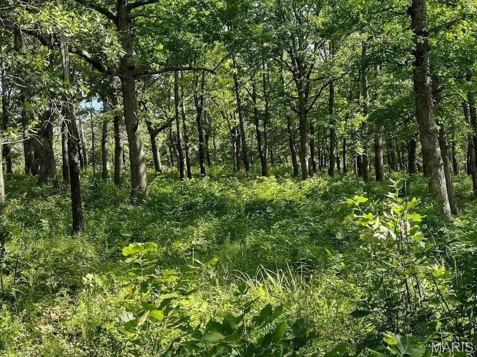 42.5 Acres of Land for Sale in Eldridge, MO - Eldridge, Missouri, 65463