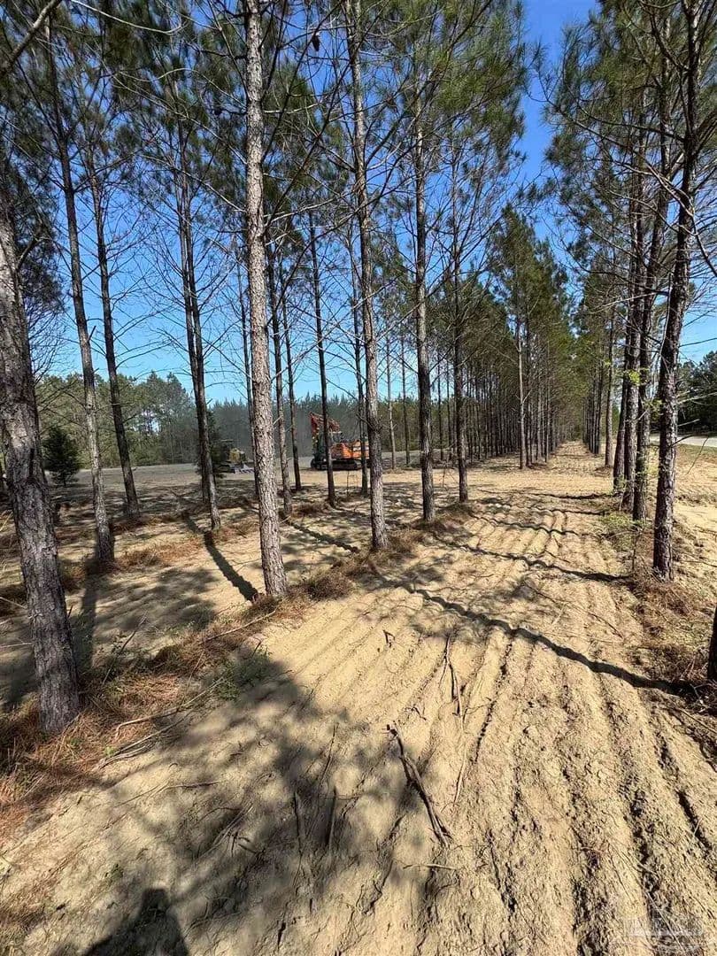 Property from Lot 53 Sage Forest Ln - KW - Pace, Florida, 32571