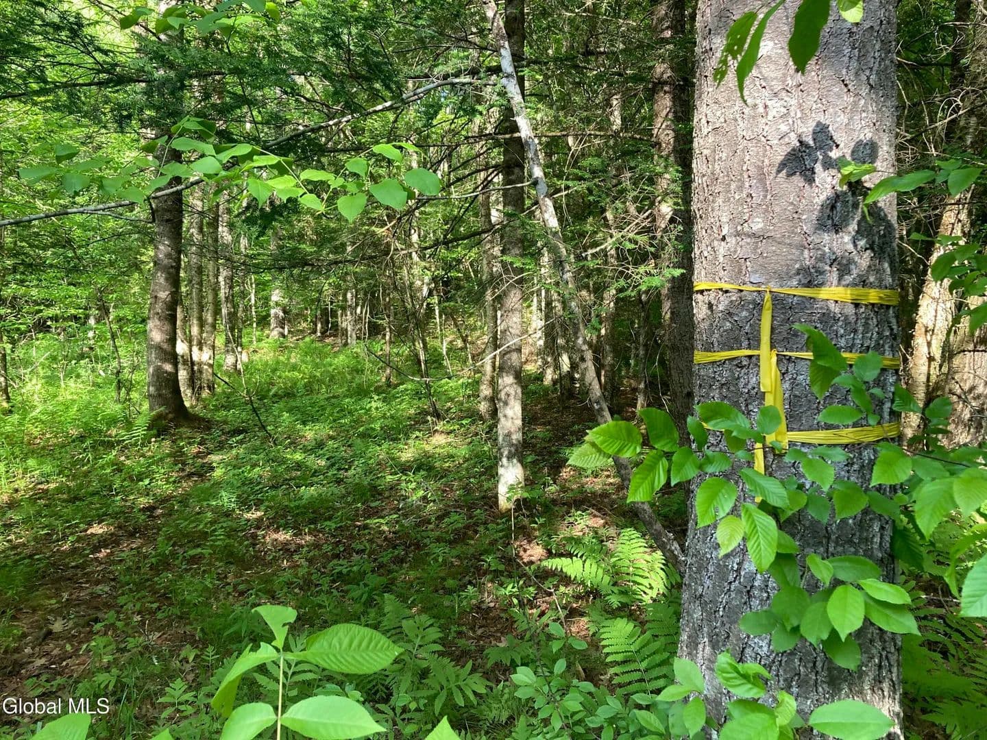 Property from L3 Breed Hill Road - KW - Crown Point, New York, 12928