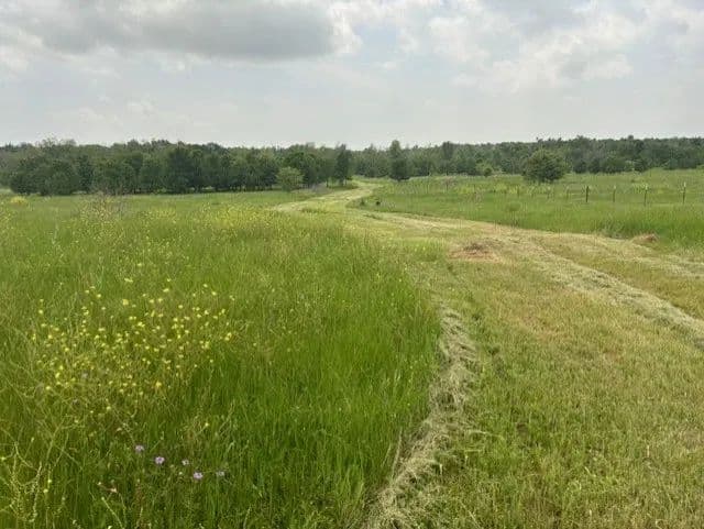 12.68 Acres of Land for Sale in Holland, Texas - Holland, Texas, 76534
