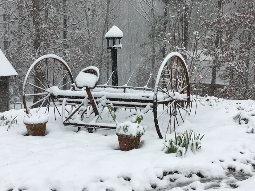 Mountain Living on Private 20-acre Retreat Atop Paris Mountain