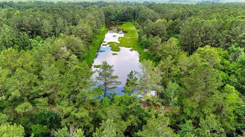 Property from TBD Private Road 5170 - KW - Kirbyville, Texas, 75956