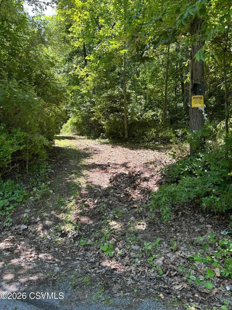 27.03 Acres of Land for Sale in Mifflinburg, Pennsylvania - Mifflinburg, Pennsylvania, 17844