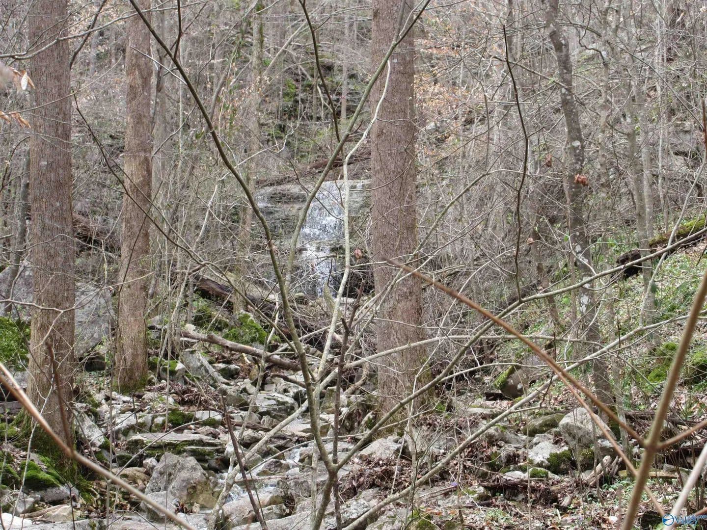 Property from 1958 County Road 32 - KW - Fackler, Alabama, 35752