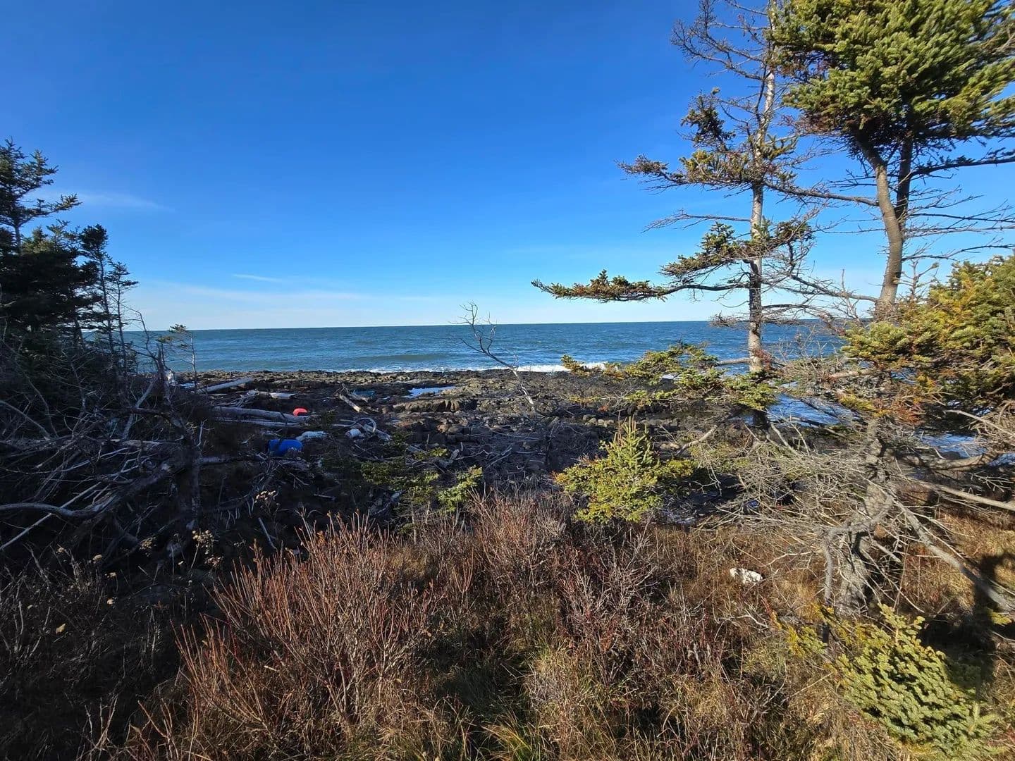 20.52 Acres of Land for Sale in Delaps Cove, NS - land for sale