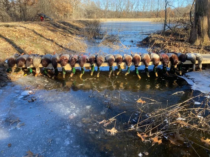 72-Acre Waterfowl Hunting Property with Home in Barton County, MO for Sale
