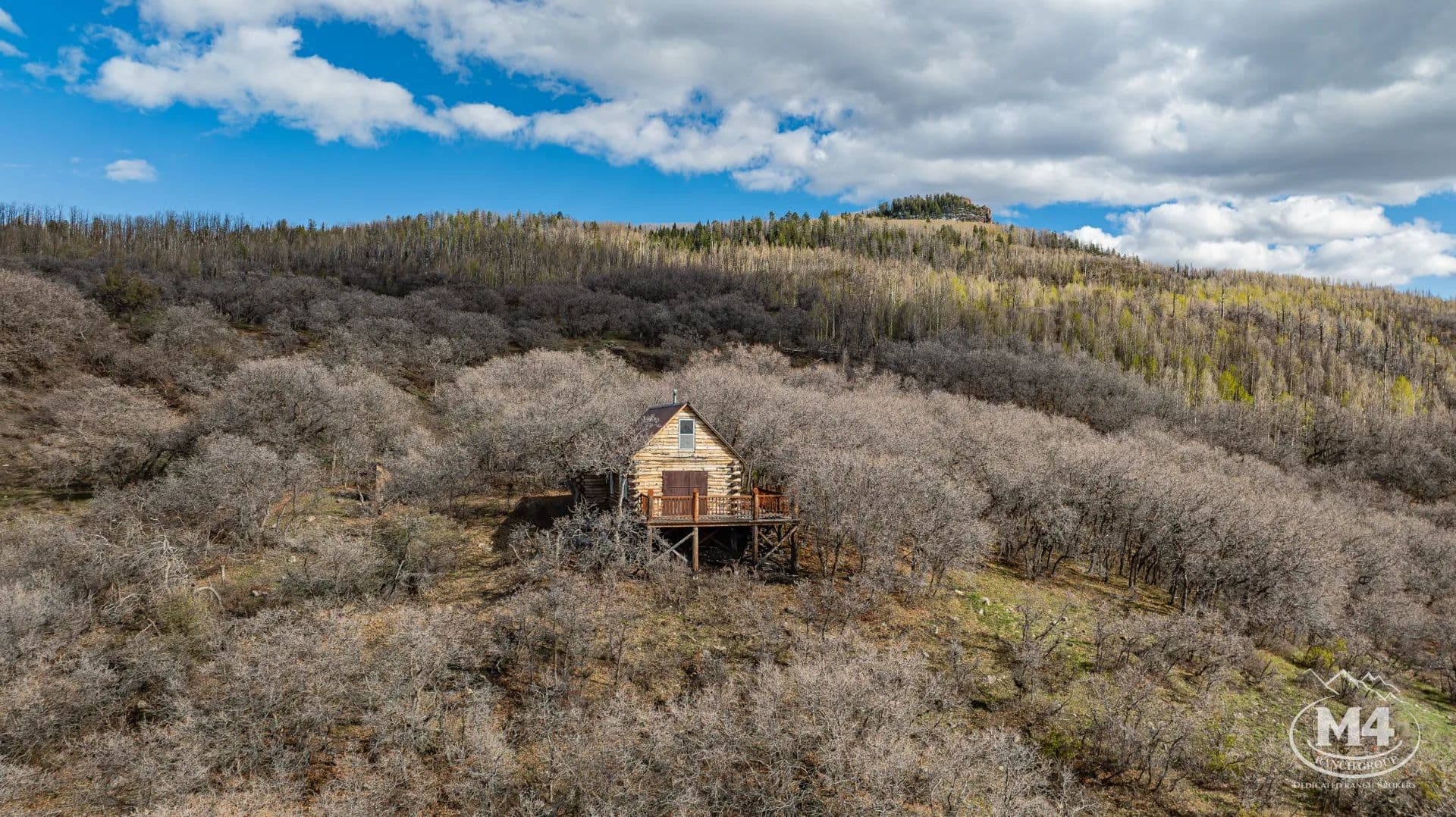 Elk Ridge Springs - Crawford, Colorado, 81415