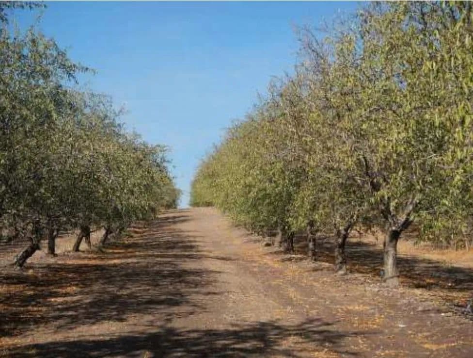 Property from 1 S Fogarty Road - KW - Oakdale, California, 95361