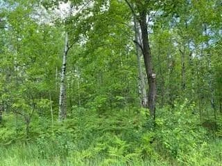 Property from Lot 141 Montrose Drive - KW - Mancelona, Michigan, 49659