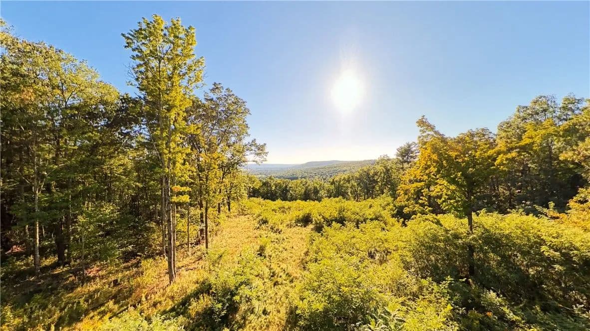 5.01 Acres of Land for Sale in Horseheads, NY - Horseheads, New York, 14814