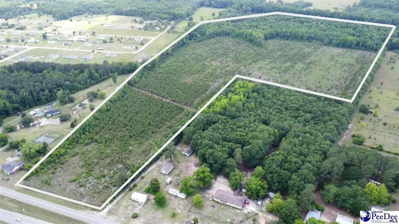 Property from TBD Christmas Farm Rd. +/-56.6ac - KW - Latta, South Carolina, 29565
