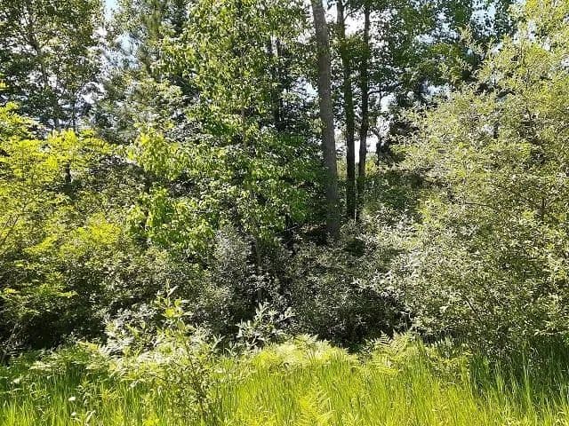 Property from 0 East Side Drive - KW - , Michigan, 48635