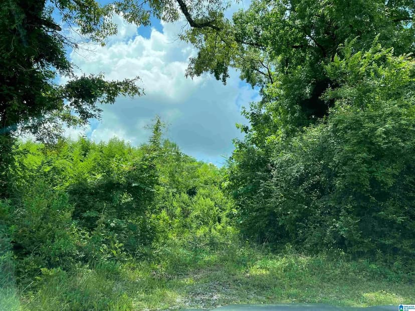 Property from 5584 HIGHWAY 25 #0 - KW