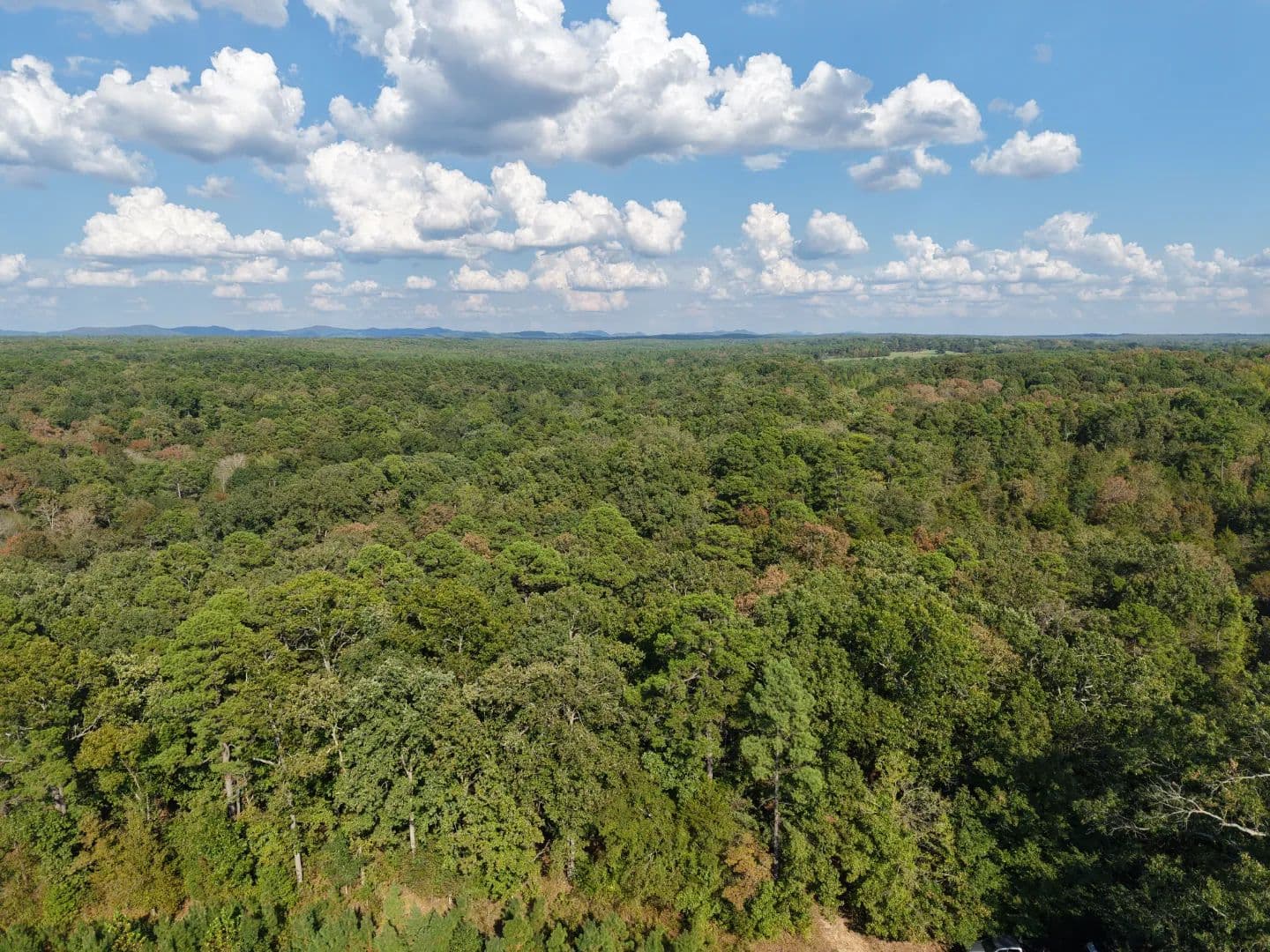 30 Acres on Lazy Wood Lane Cove in Polk County, AR - Cove, Arkansas, 71937