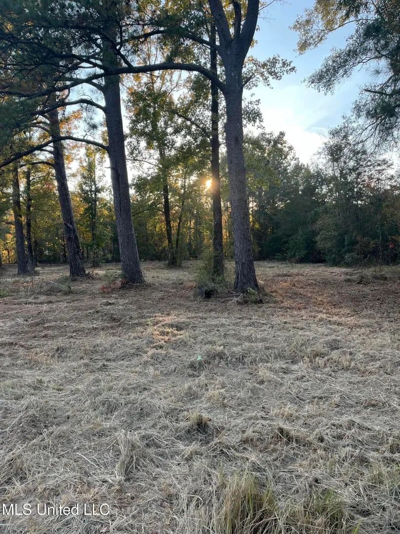 32.24 Acres of Land for Sale in Hattiesburg, MS - Hattiesburg, Mississippi, 39401