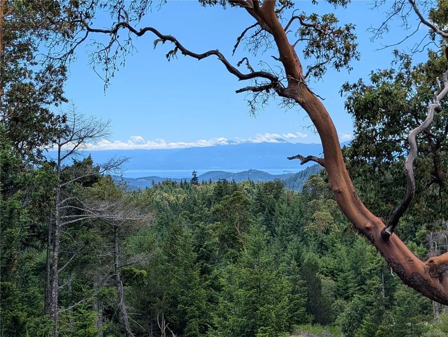 Property from LT 6 Eagle Vista Rd - KW - Canada