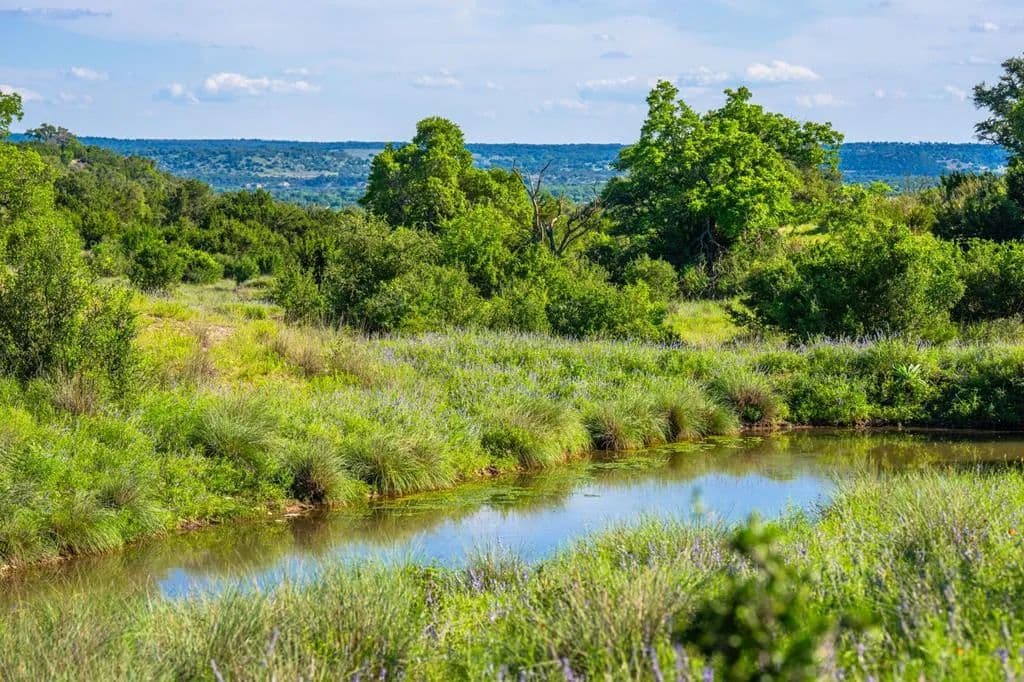 312.01 Acres of Land for Sale in Fredericksburg, TX - Fredericksburg, Texas, 78624