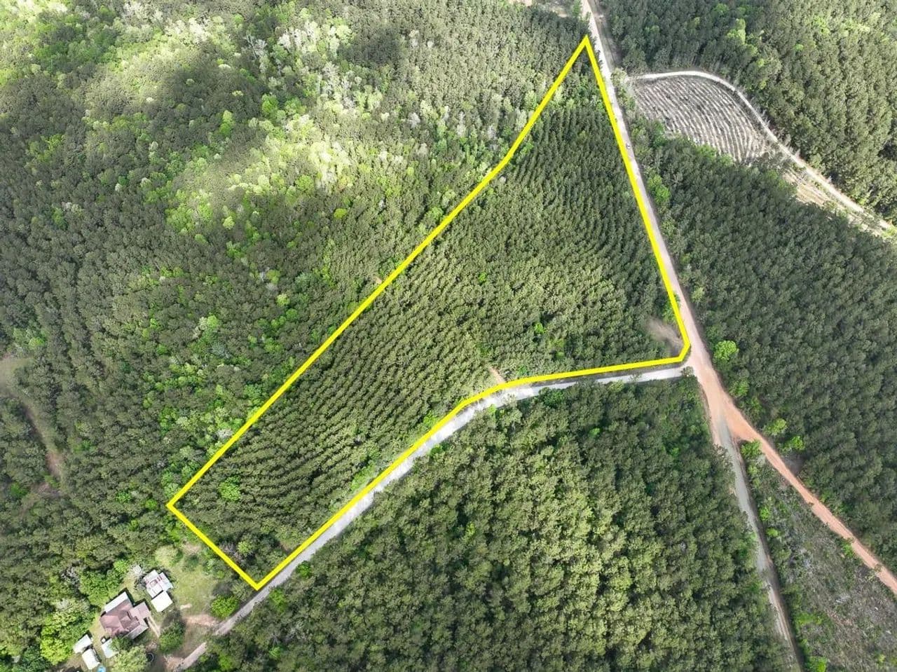 11 Acres | T-1 | CR 4300 | SN6327 - Woodville, Texas, 75979