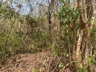 Vacant Land in St David - land for sale