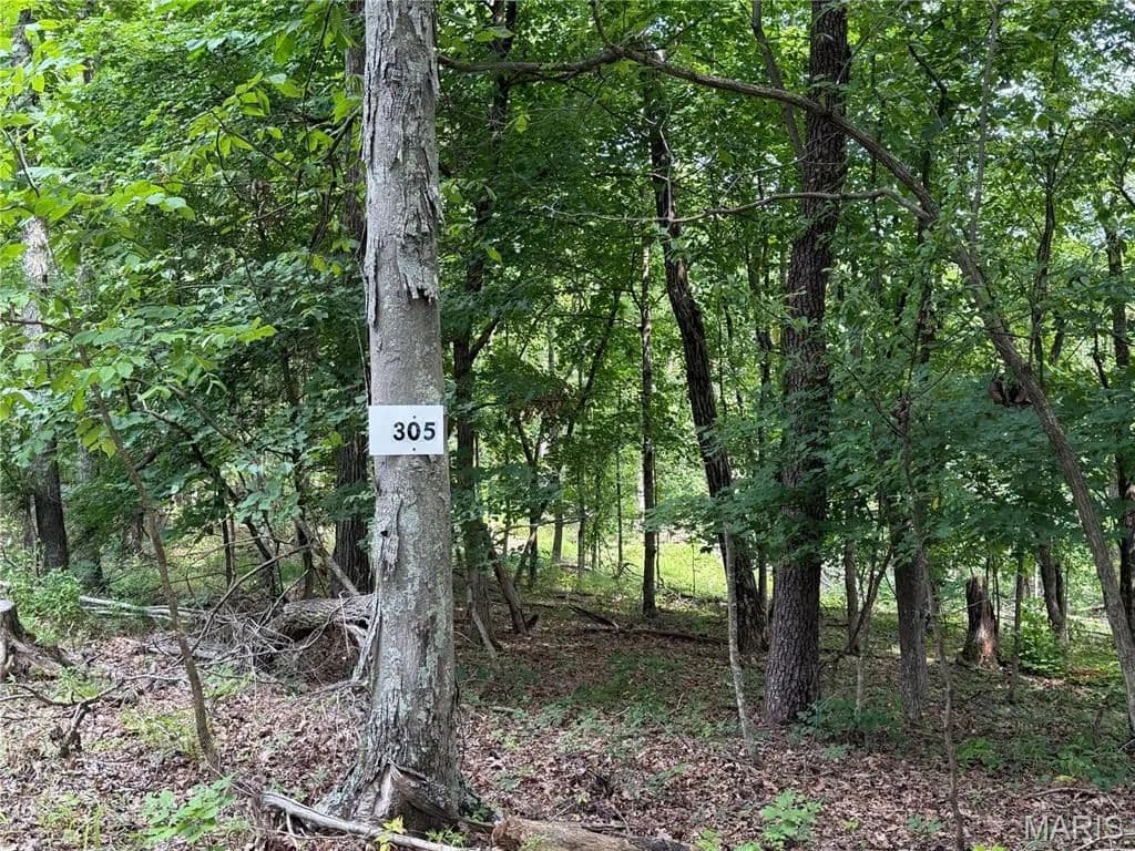 Lots & Land-Other in Fredericktown - Fredericktown, Missouri, 63645