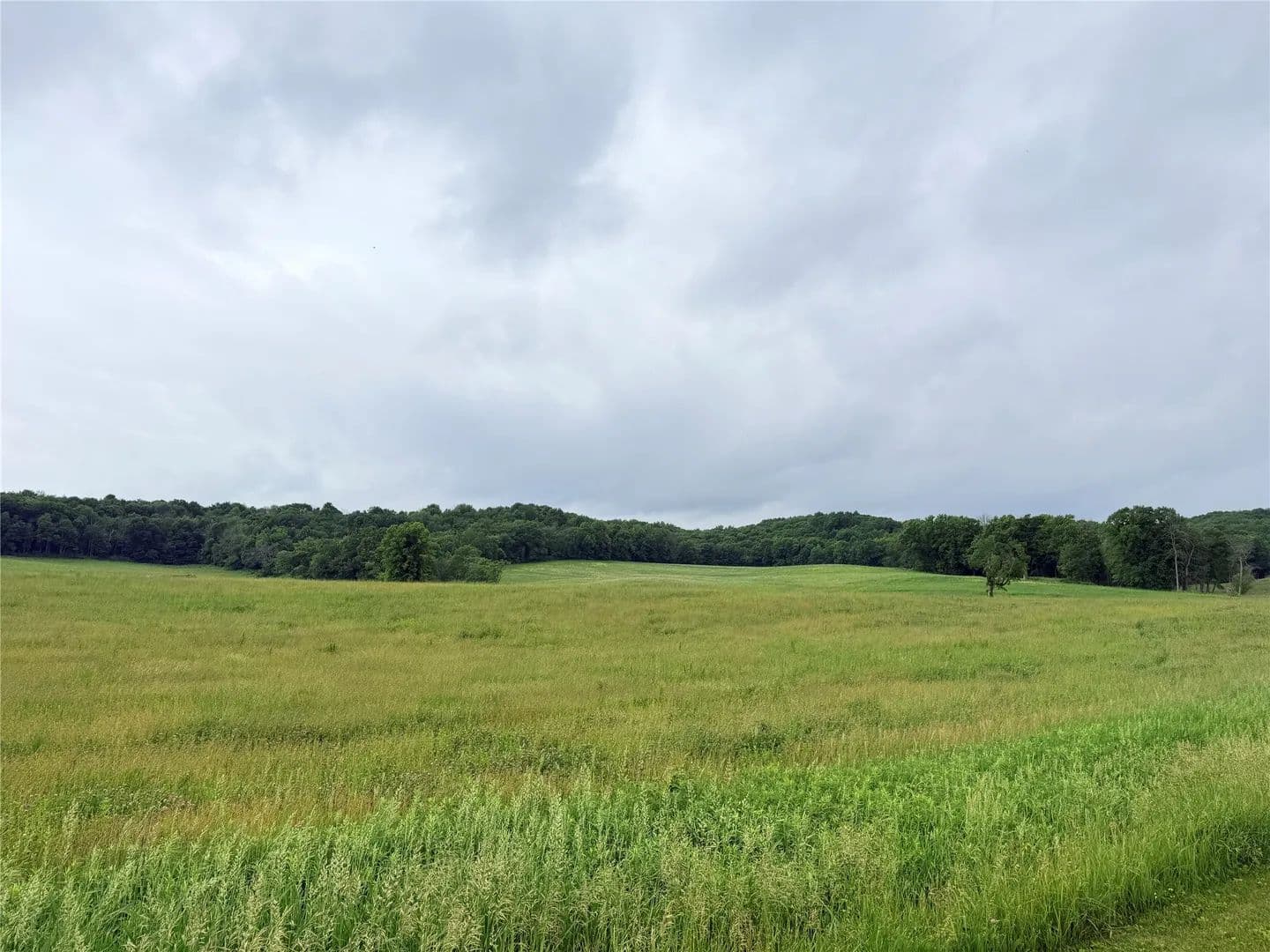 5 Acres of Land for Sale in Fall Creek, Wisconsin - Fall Creek, Wisconsin, 54727