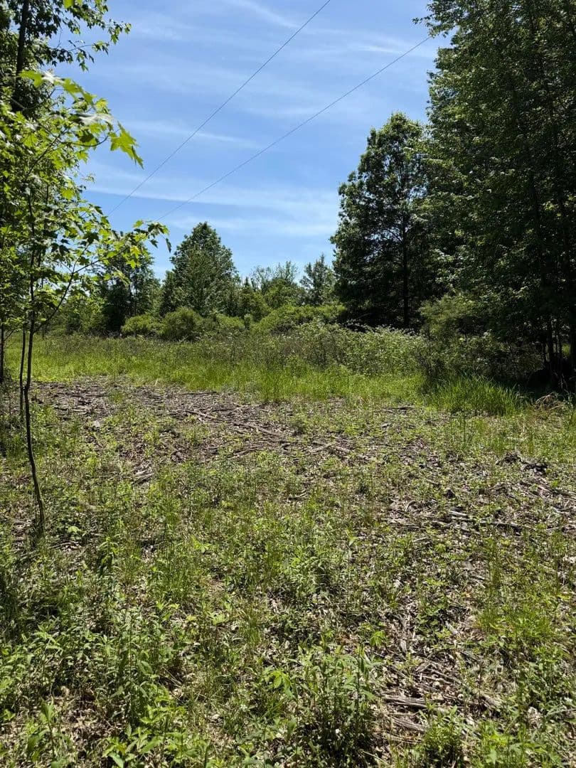 Property from V/L 50th Street - KW - Bangor, Michigan, 49013