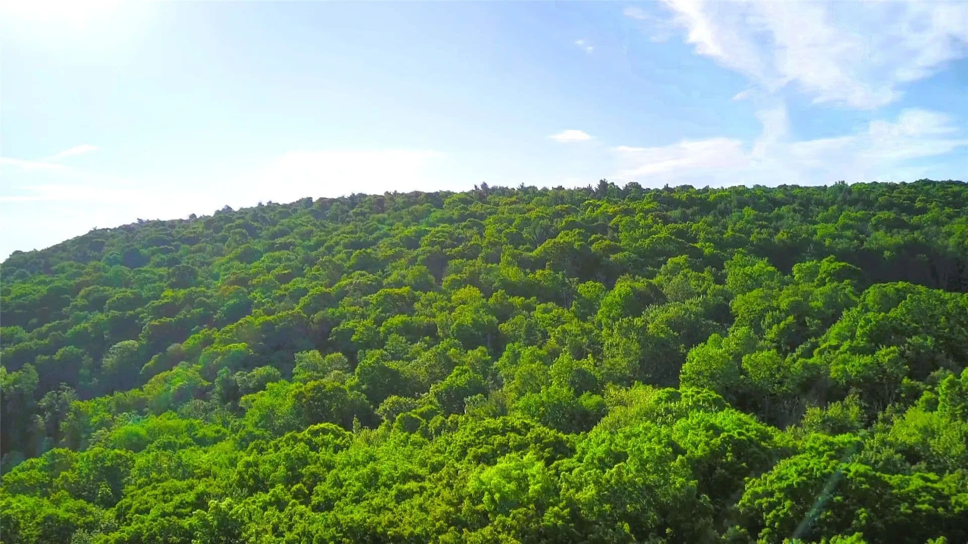 6.25 Acres of Land for Sale in Vestal, New York - Vestal, New York, 13850