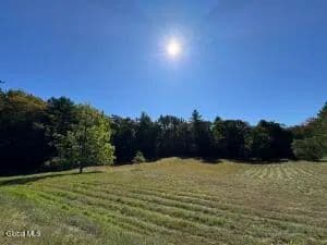 Land -Single Family Acreage in Stony Creek - Stony Creek, New York, 12878