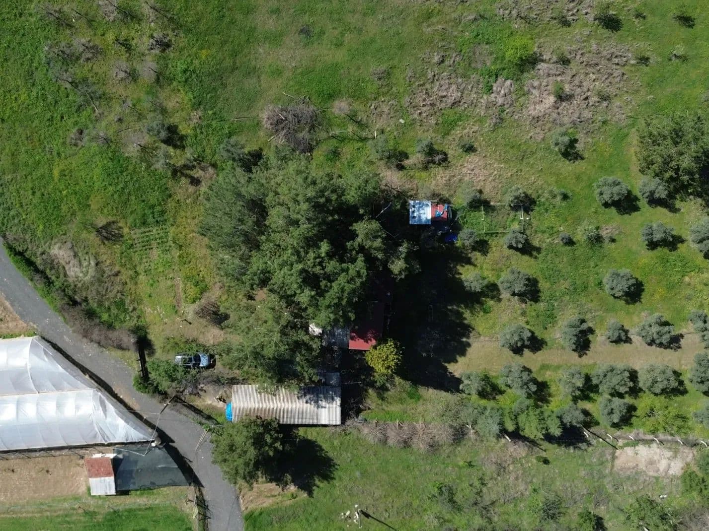 Sakarya Nehrı Kıyısında Lüks Konumda 2.033 M² Satılık Tarla - Turkey