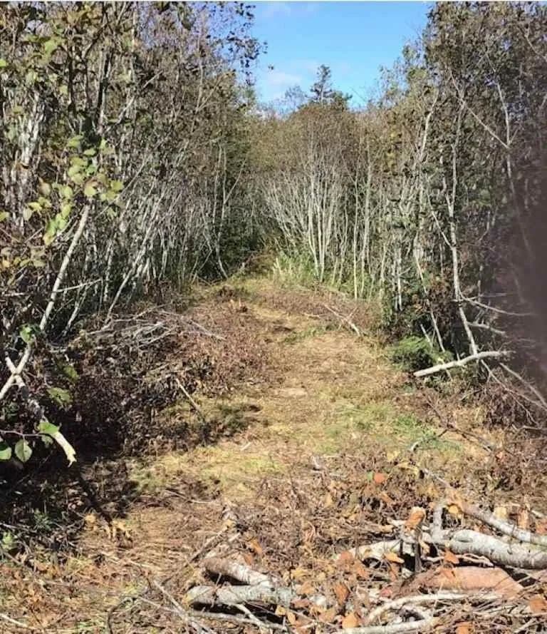 Property from Lake Doucette Road #Lot 1 - KW - Canada
