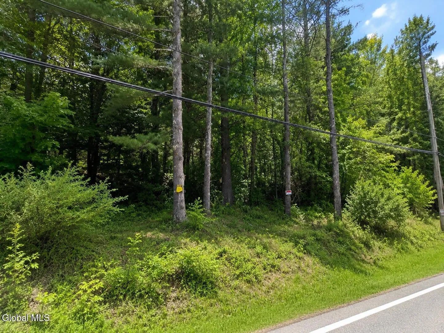 Lots & Land-Other in Greenville - land for sale