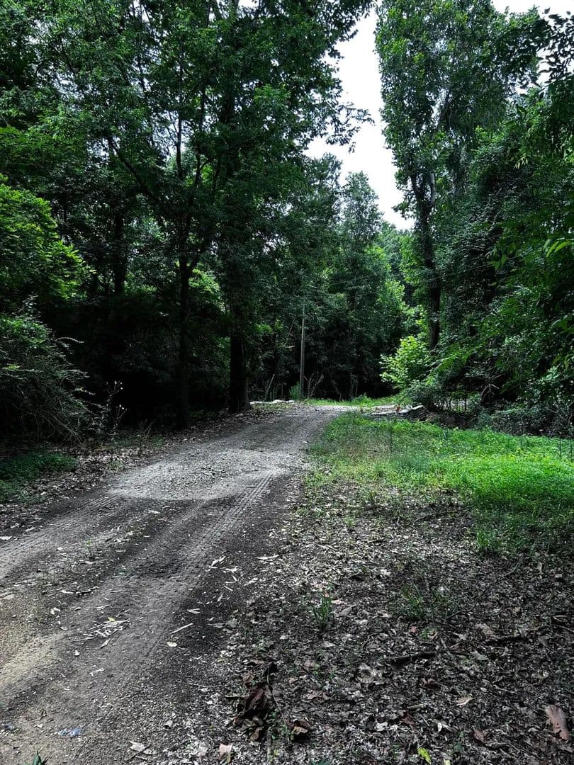 Vacant Land (10+ Acres) in Ridgeville - land for sale