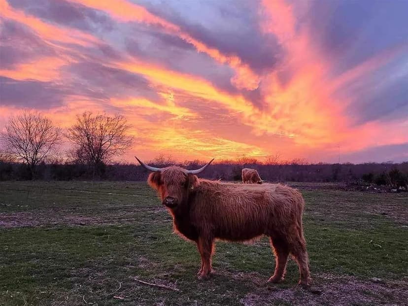 Property from 4081 FM 2736 #A - KW