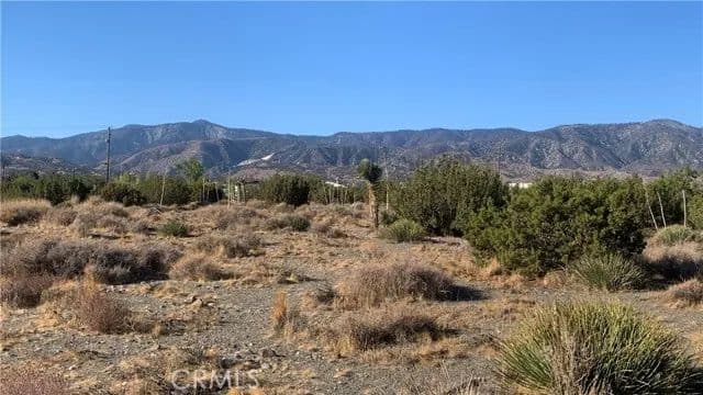 Vacant Land in Pinon Hills - Pinon Hills, California, 92372