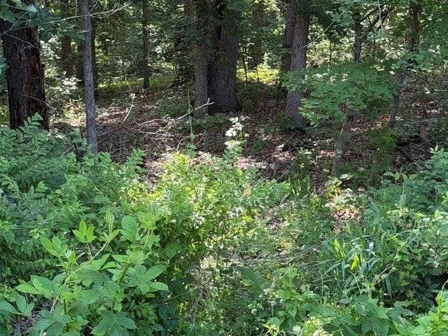 Lots & Land-Other in Bella Vista - Bella Vista, Arkansas, 72715