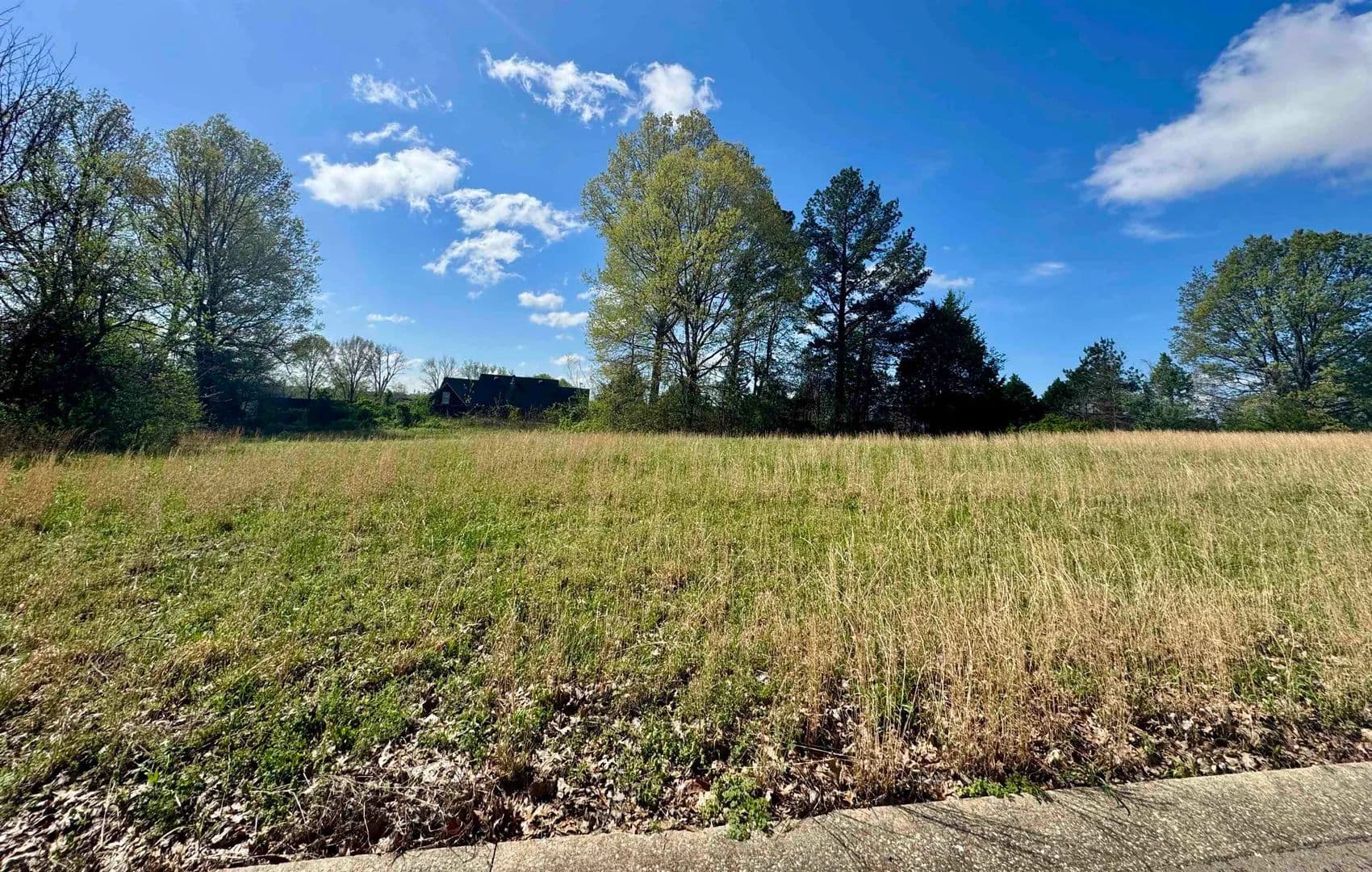 0.41 Acres of Land for Sale in Ripley, Tennessee - land for sale